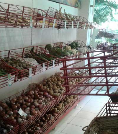 Fruits & Vegetables Rack